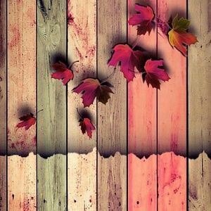 Meet your Posher, Fatima