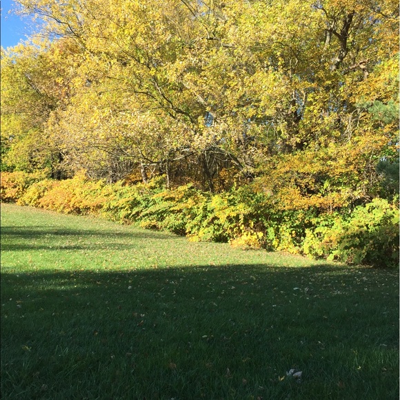 Meet your Posher, Umar - Picture 1 of 1