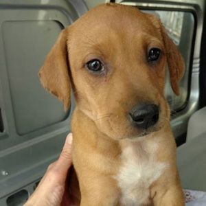 Meet your Posher, Paige