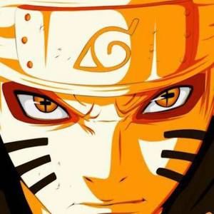 Meet your Posher, Tim