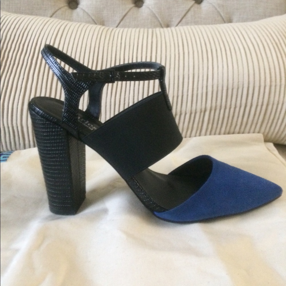 Charles David block heels pumps