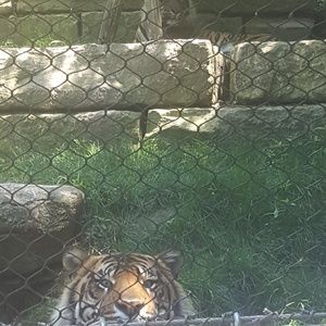 Meet your Posher, Ash