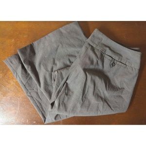 Express Gray Pants Publicist