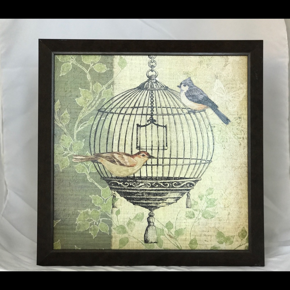 Framed Birdcage Canvas