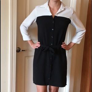 The Limited Belted Color Block Shirt Dress (S)