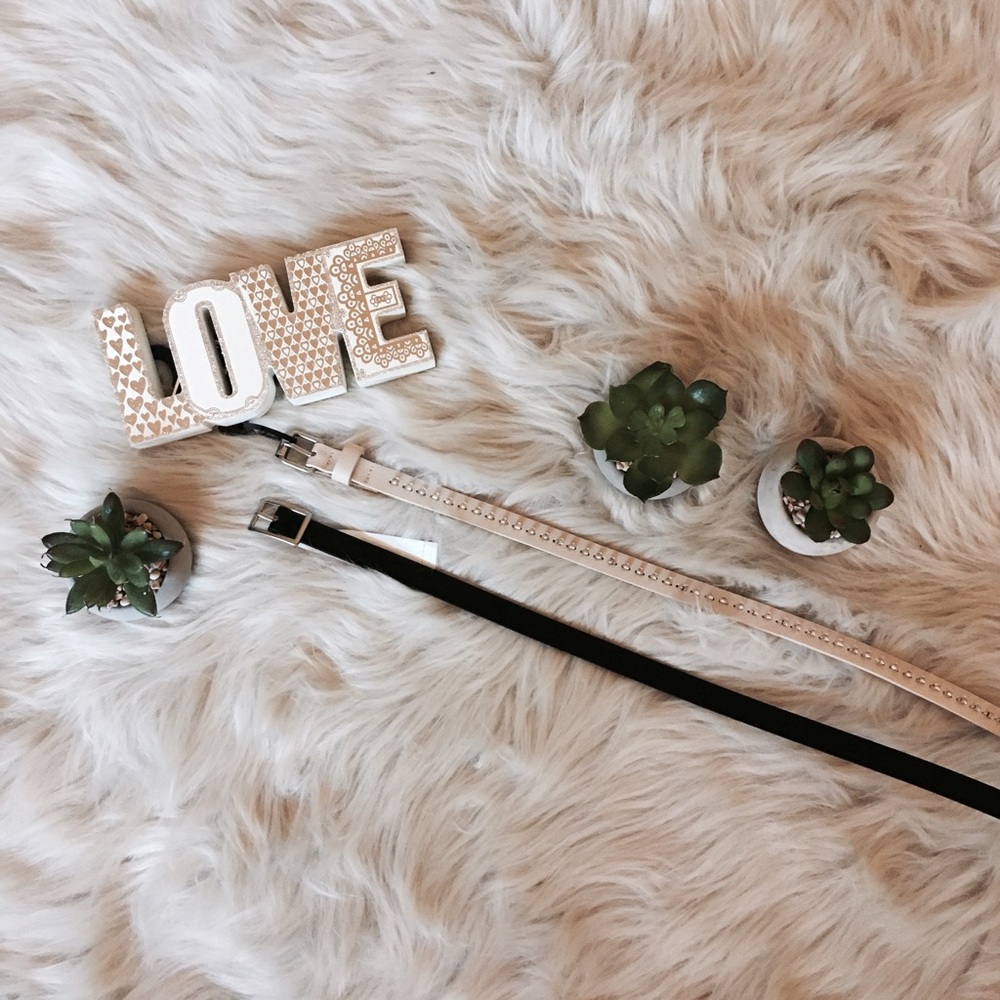 [Steve Madden] basic pants belt 🎀