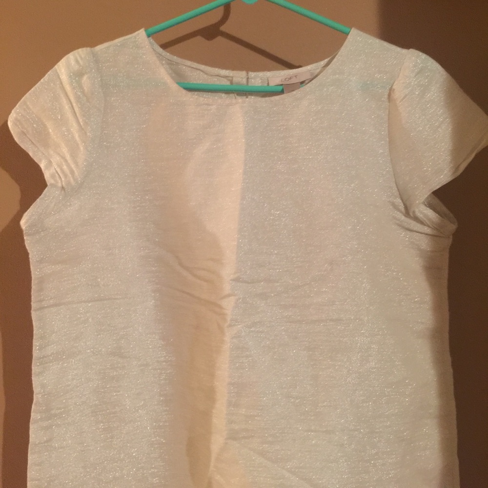 The Loft shimmery dress shirt