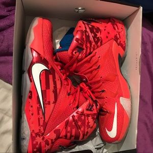 Nike Lebron XII