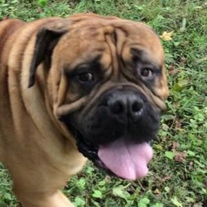 Meet your Posher, Joshua