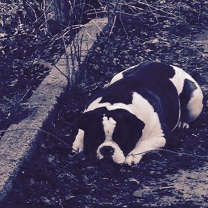 Meet your Posher, Emiley