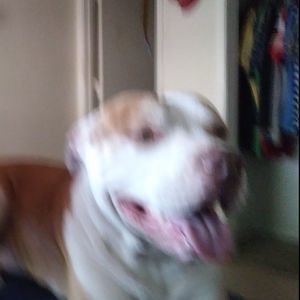 Meet your Posher, Wes