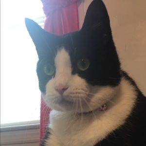 Meet your Posher, Hannah