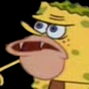 Meet your Posher, Alexa