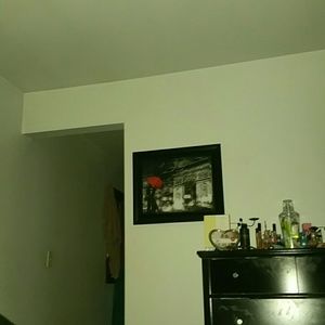 Meet your Posher, Herman