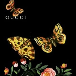 Meet your Posher, Marcus