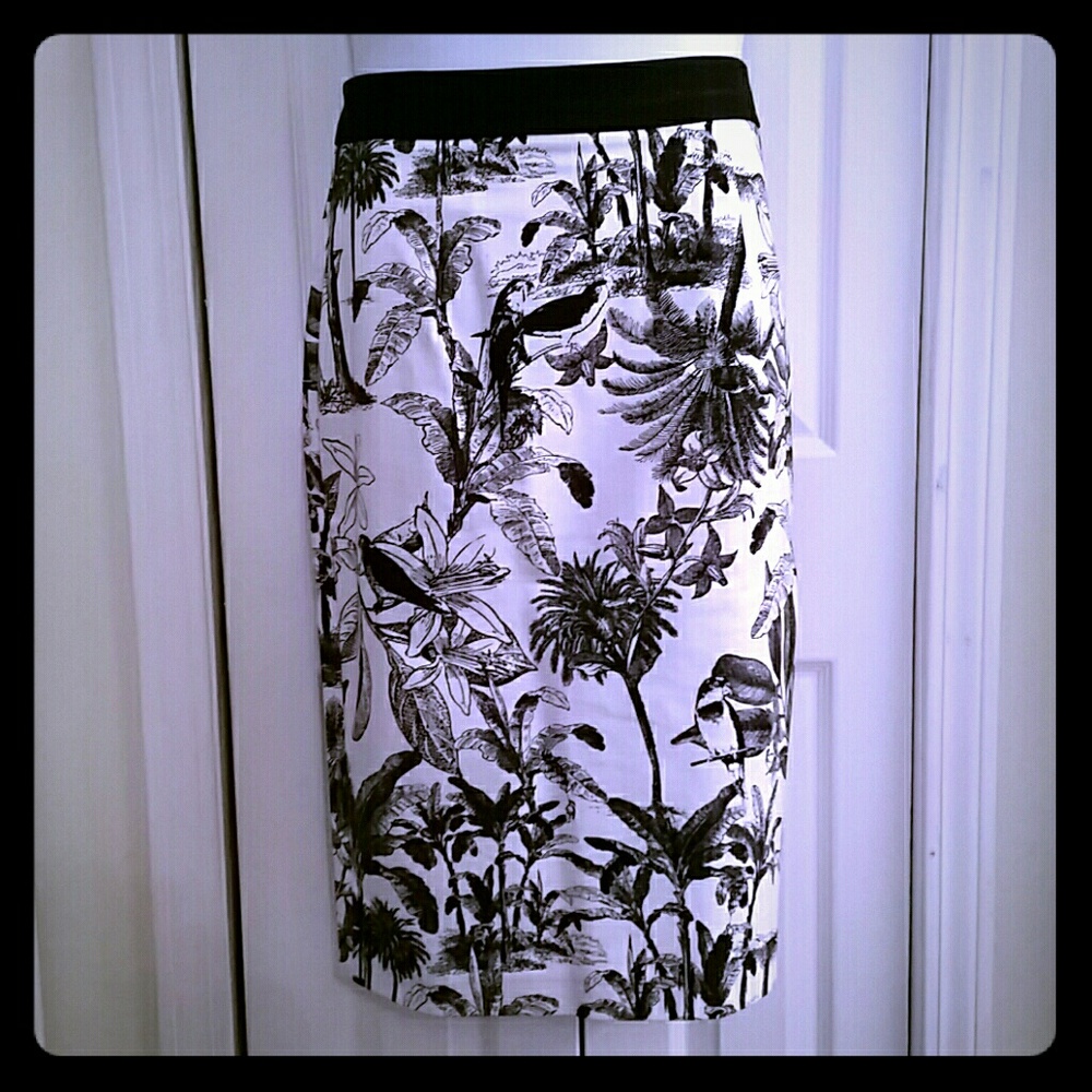 B & W Skirt