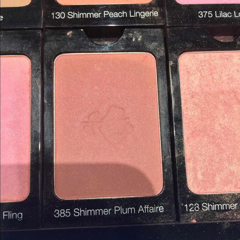 Meet your Posher, Vidya