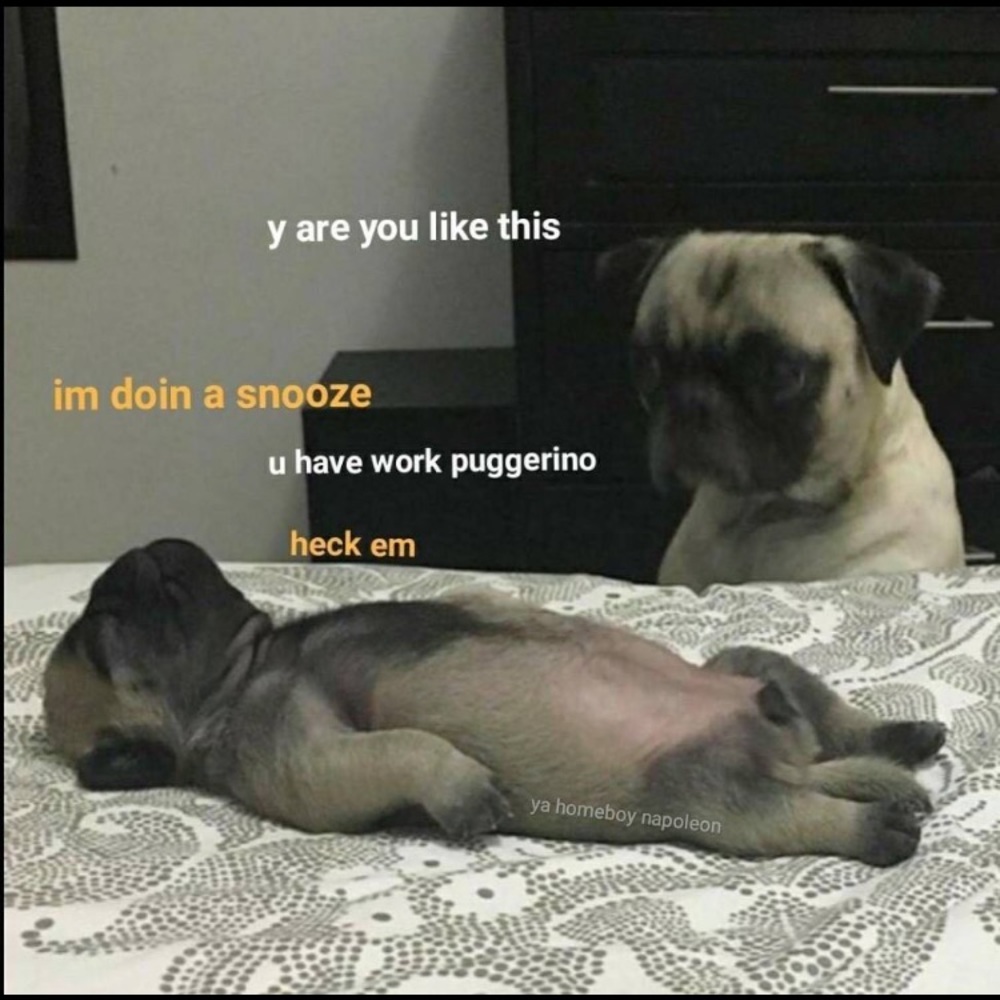 Meet your Posher, Andrew