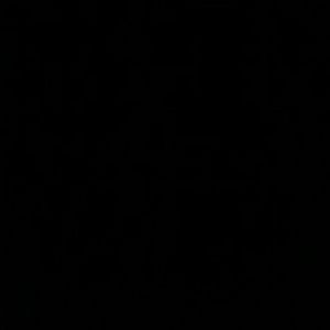 Meet your Posher, Maya