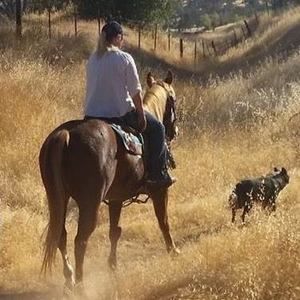 Meet your Posher, Sabrina