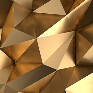 Meet your Posher, Tomas