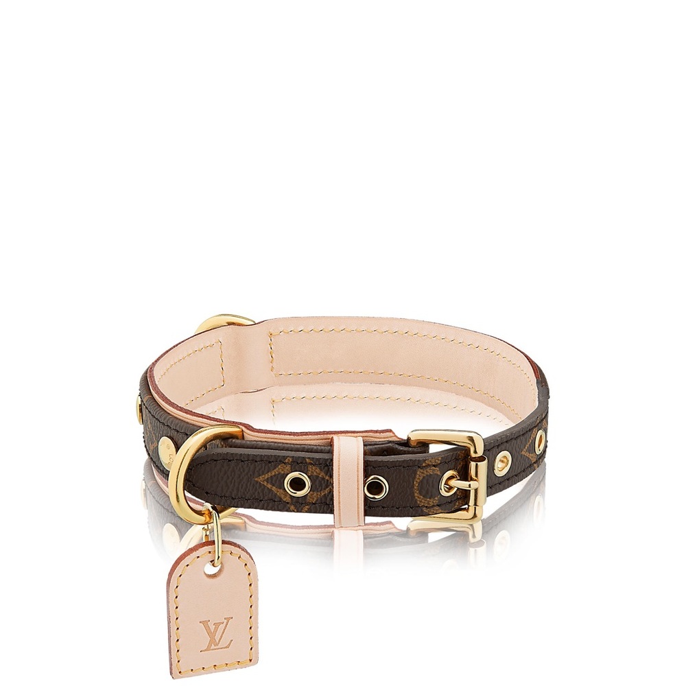 ISO LOUIS VUITTON DOG COLLAR