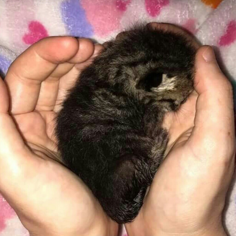 ❤ Paying It Forward ❤