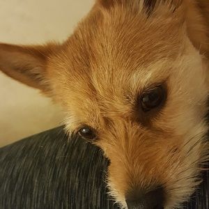 Meet your Posher, Kerrin