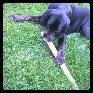Meet your Posher, Jacey