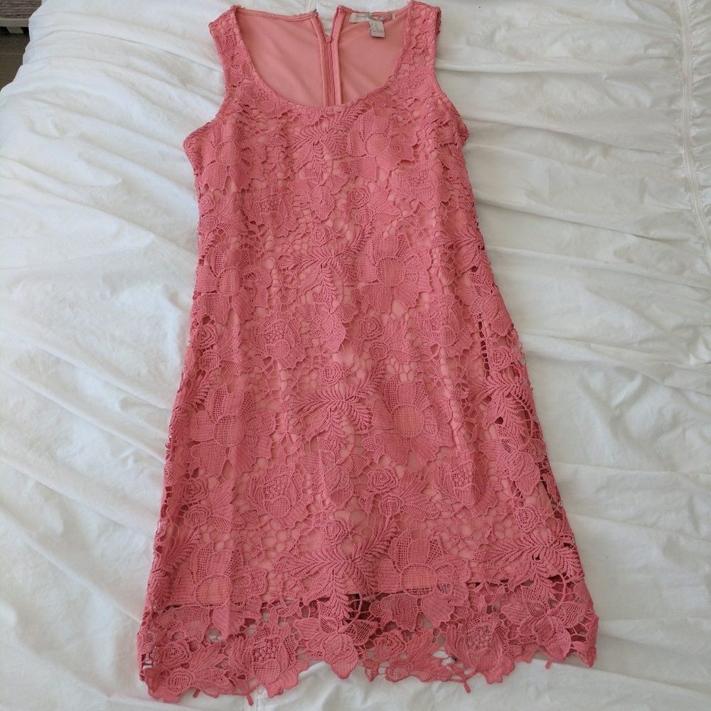 NWT Pink Lace Dress