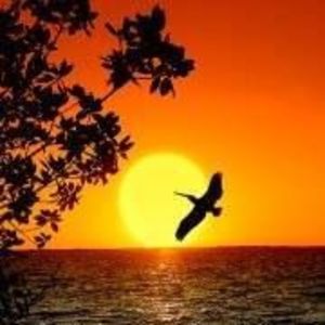 Meet your Posher, Gloria