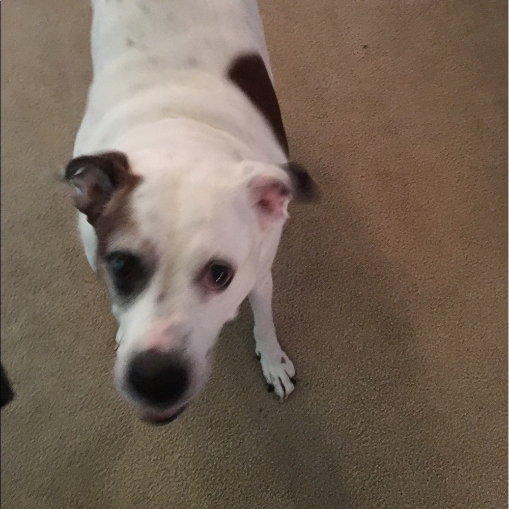 Meet your Posher, Vicki