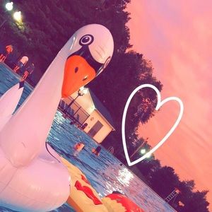 Meet your Posher, Ryann