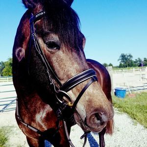 Meet your Posher, Monet