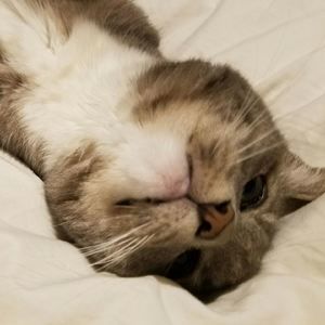 Meet your Posher, Carol