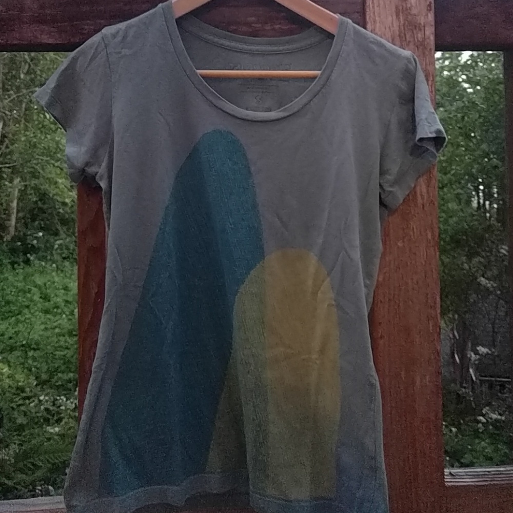 Patagonia two mountains tee s