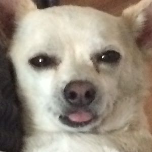 Meet your Posher, Katherine