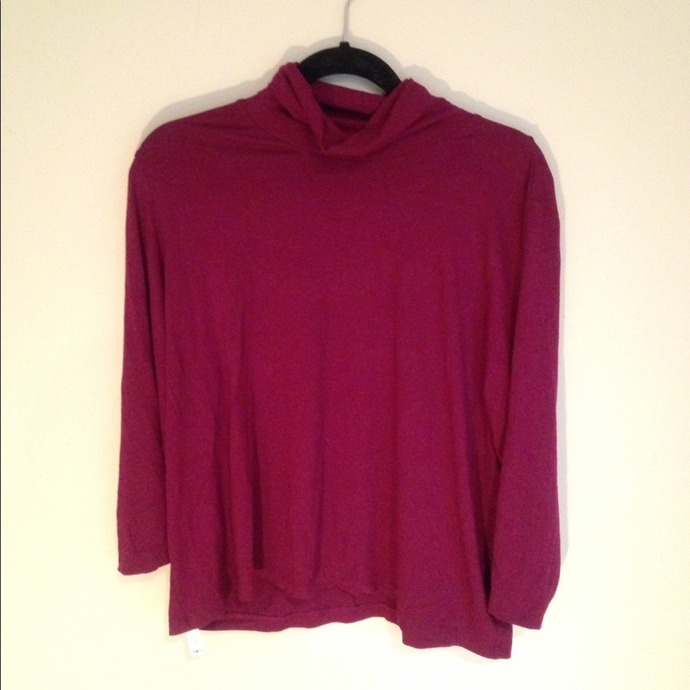 Eileen Fisher Turtleneck