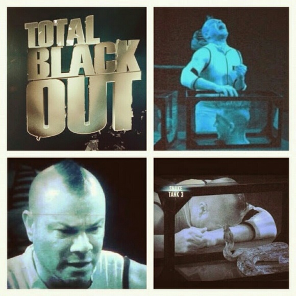 Meet your Posher, Eddie - Picture 4 of 4