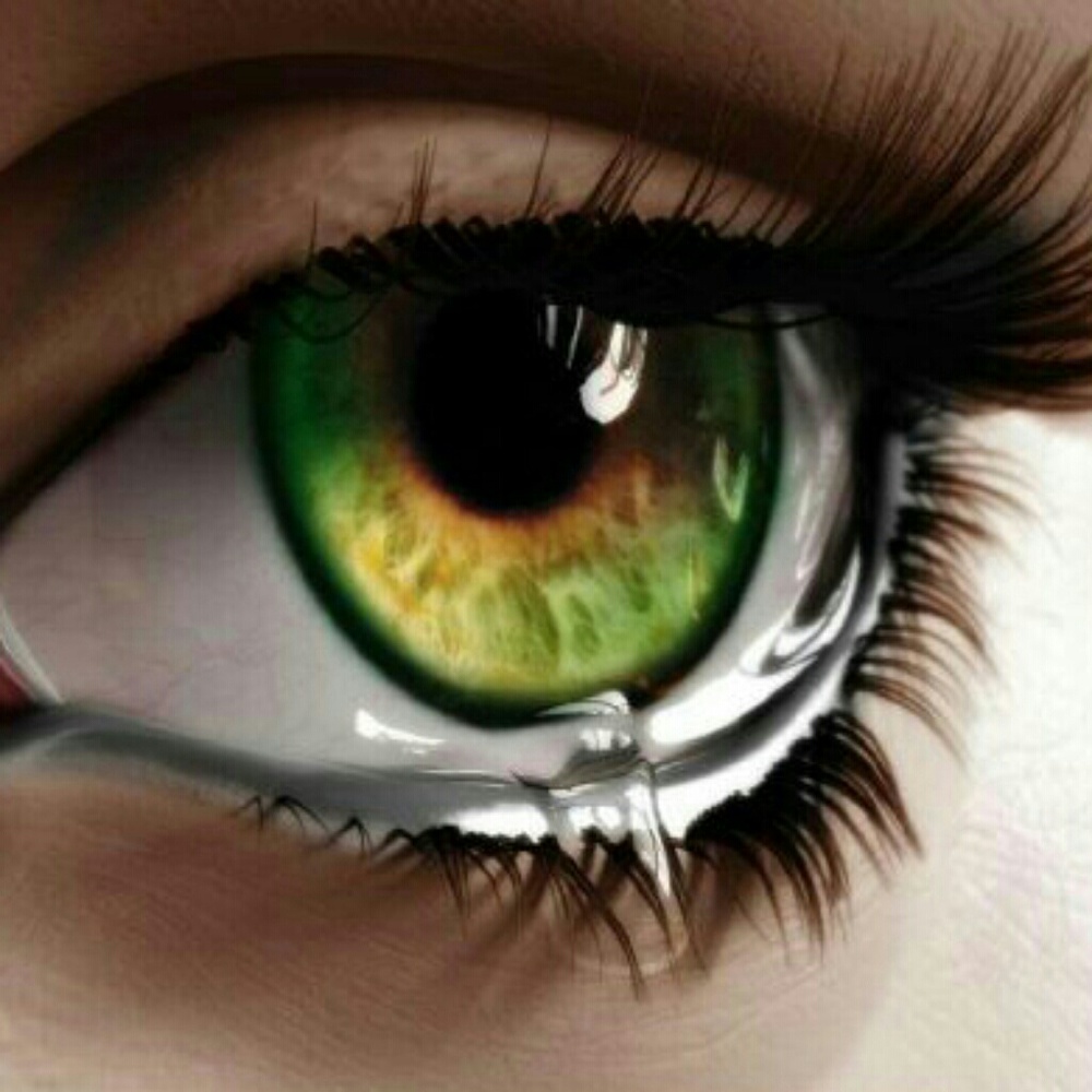 Meet your Posher, Lynn