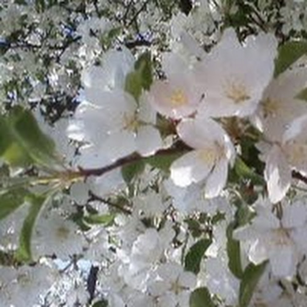 Meet your Posher, Krystina