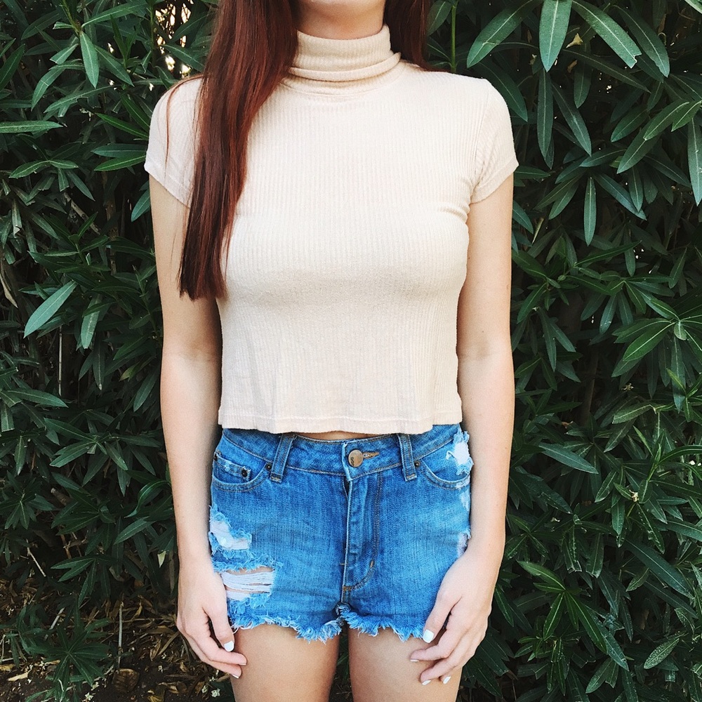 Brandy Melville - Turtleneck Crop Top