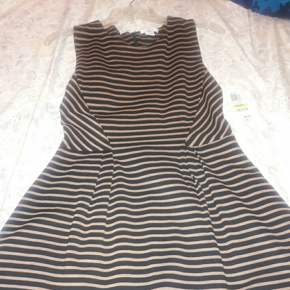 nwt bar III aline dress