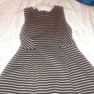 nwt bar III aline dress