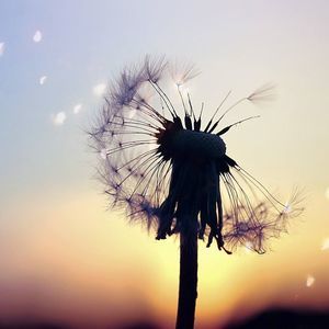 Meet your Posher, Isabelle