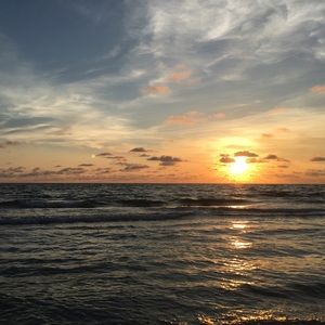 Meet your Posher, Jake