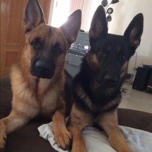 Meet your Posher, Mico