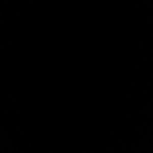 Meet your Posher, Ebony