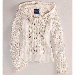 AEO Hooded Sweater