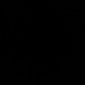 Meet your Posher, Lizbeth